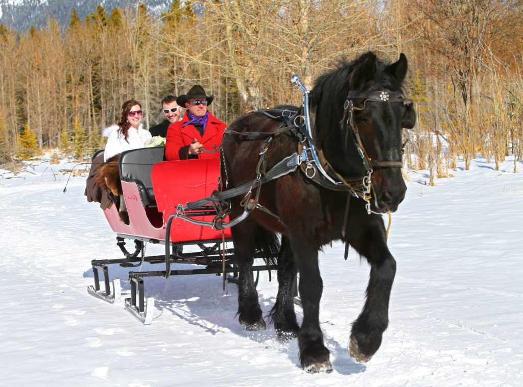 Banff sleigh-ride-for-2