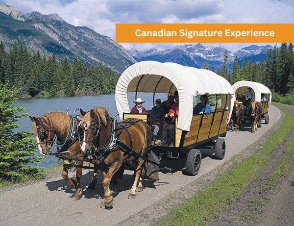 Banff Tours Horseback