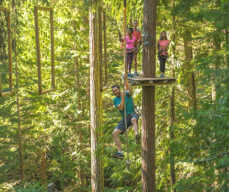 Treetop Adventure Whistler