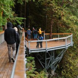 Squamish Canyon Walk