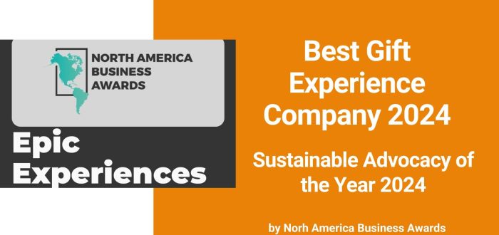 Best Gift Experience Company 2024 - Epic Experiences