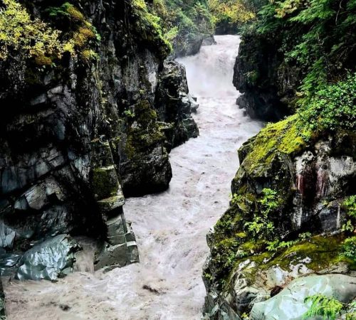 Squamish Canyon Walk